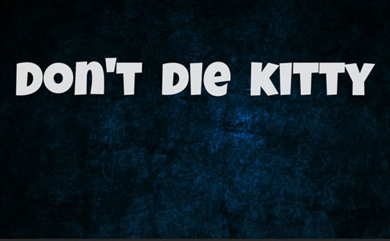Unity - Game Engine Don't die kitty